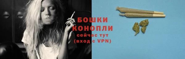 гидра Дмитров