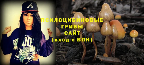 гидра Дмитров