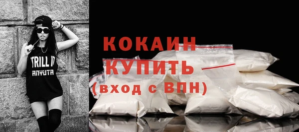 гидра Дмитров