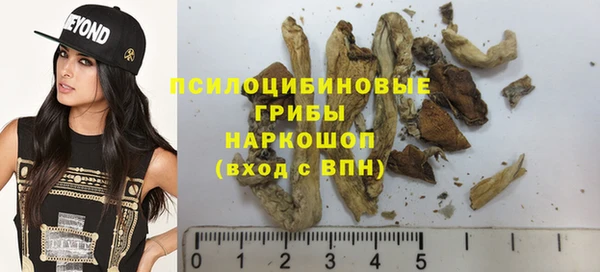 гидра Дмитров