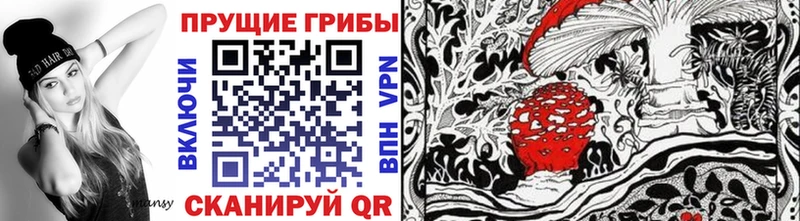 Купить где  Ачинск  Псилоцибиновые грибы Psilocybine cubensis 