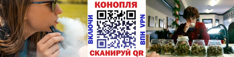 Купить  Ачинск  Каннабис план 